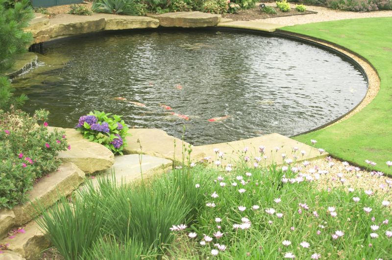 Fish Pond Digging