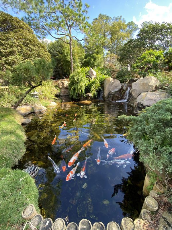 Fish Pond Digging