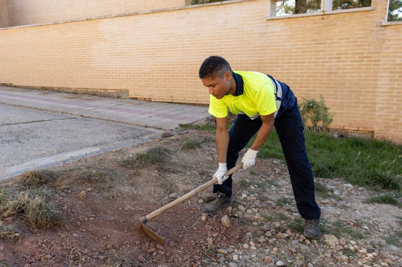 Fish Pond Digging